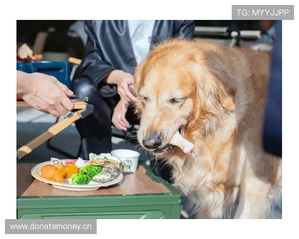 颜骏凌家的狗都比我家吃得好